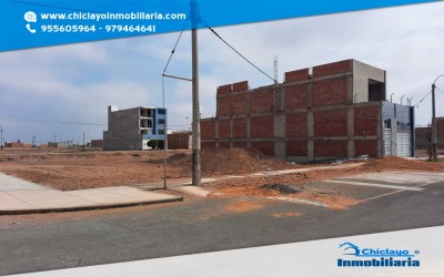 VENTA TRES TERRENOS JUNTOS URB LOS FICUS I PIMENTEL VENTA TRES TERRENOS JUNTOS URB LOS FICUS I PIMENTEL